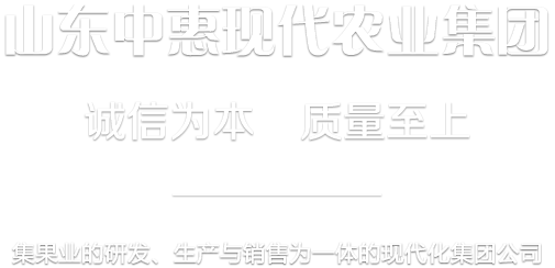 山東中惠現(xiàn)代農(nóng)業(yè)集團(tuán)脫毒矮化蘋(píng)果苗木種植