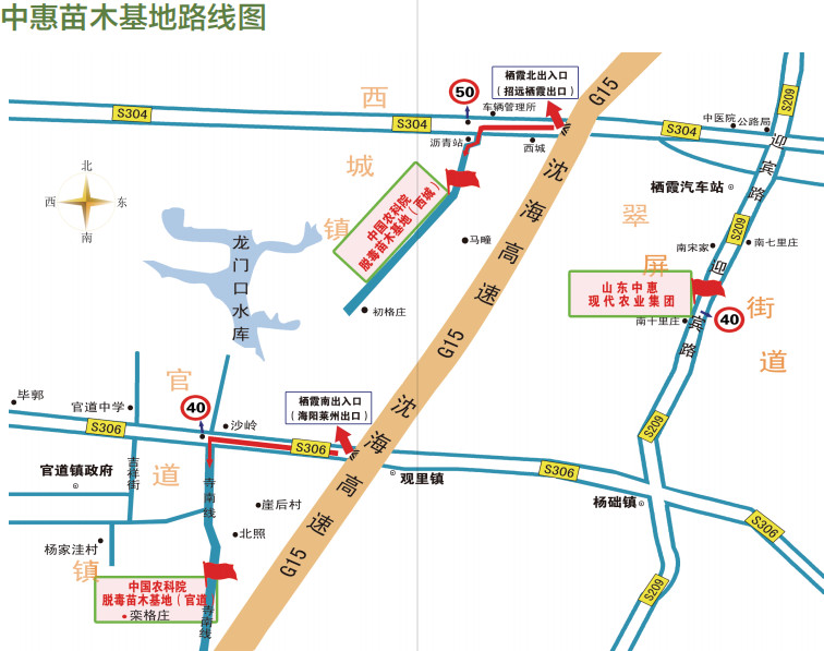 煙臺(tái)中惠蘋果苗木基地